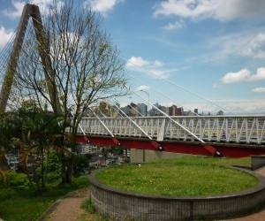 Viaducto de Pereira. Fuente: Panoramio.com Por ORLANDO /42