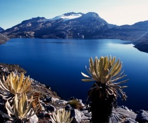 Parque Nacional El Cocuy Fuente Uff.travel